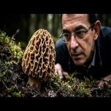 Comment il a acheté le secret des morilles