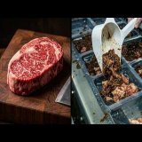 Viande : la fraude que personne ne voit
