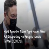 Elon Musk has yet to address the results of his poll in which millions of Twitter users said they want the billionaire to resign as Twitter CEO, in what could be a bizarre but fitting end to the billionaire&rsquo;s two-month tenure at the helm of the
