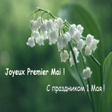 #1Мая Посольство Франции в России поздравляет всех с праздником 1 Мая! #1Mai L&rsquo;Ambassade de France souhaite &agrave; tous une bonne f&ecirc;te du 1er mai !