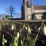 Important to note,we are half way through January and early as it is,there are visible signs; of a brighter spring ahead. On #BlueMonday embrace the early signs of hope&hellip;