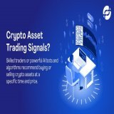 Crypto asset trading signals?  #binance #dodgecoin #fintech #bitcoinworld #spottrading #invest #blockchaintechnology #FTFTex #forexlifestyle #stablecoins #solana #Filecoin #trading #investment #Tokens #cryptocurrencynews #Solana #Bitcoin #ETH #bnx #N