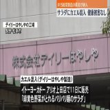 ケロケロケロッピ 入ってたら凄く嫌だわwww  サラダに「カエル」混入　弁当総菜業者が製造、健康被害などの連絡なし　長野(日テレNEWS) #Yahooニュース