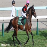 阪神ジュベナイルフィリーズにドゥアイズが出走します。 デビュー戦では狭い内から抜け出し優勝。2･3戦目は敗れたものの、ともに2着と好走を見せてくれました。 リフレッシュを挟み、パワーアップした姿で挑む今回。例年以上にメンバーが揃いましたが、素質は引けを取らないはずです。ここで結果を