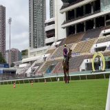AWコースへ馬場入りする今朝のメイケイエールです。池添騎手が落馬負傷のため、今回はJ.マクドナルド騎手とのコンビで #香港スプリント に出走します。