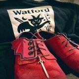 Happy #WorldBookDay2023 I will be showing off some Watford appreciation with my tribute to @rainbowrowell &lsquo;s books #CarryOn #WaywardSon and #AnywayTheWindBlows