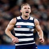 Bring us home Cap'n   #AFLCatsLions #Untameable