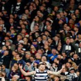 Born for the big stage    #AFLCatsLions #Untameable