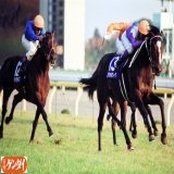 ジャパンＣデー、オープニングレースは武豊騎手プラチナジュビリーの逃げ切りでした。 武豊騎手はＪＣ最多の４勝。９９年スペシャルウィーク、０６年ディープインパクト、１０年ローズキングダム（２位繰り上り）、１６年キタサンブラック。 今年はハーツイストワールの手綱を取ります。 #ジャパンＣ