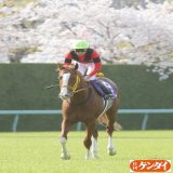 〝サクラサク〟初戴冠に──。 ジャックドールと武豊騎手を。 #大阪杯  #ジャックドール #武豊