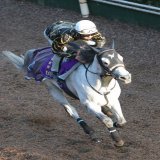 【みやこＳ、追い切り】オメガパフュームさすがの脚力で１Ｆ１２秒５ #日刊ゲンダイDIGITAL #みやこＳ #追い切り #オメガパフューム #ウィリアムバローズ #ブリッツファング #ハギノアレグリアス #クリンチャー #タイセイドレフォン