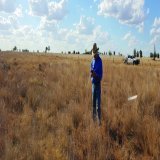 Happy National #AgDayAU! We're bringing the benefits of space to Aussie farmers through our #PositioningAustralia and #DigitalEarthAu programs, to enable fenceless farming, monitor stock behaviour, and identify feed and water availability.