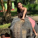 Ayubowan \ud83d\ude4f\ud83c\udffb\ud83d\udc18...#srilanka #negambo #elephants #travel #adventure #cabincrew #cabincrewlife #nature #colombo