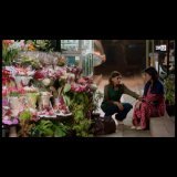 Y&rsquo;a des gens qui croisent ton chemin, pour le fleurir \ud83e\udd1dكيجاتكوم الحلقة ديال البارح؟ ياسمين و سعاد و لمياء\ud83e\udd0dطريق الورد \ud83c\udf3a Merci pour vos messages\ud83e\udd0d num&eacute;ro 1 tendance sur YouTube, que du bonheur ham