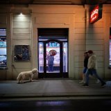 'Why am I not allowed in?? # #Wien #&Ouml;sterreich #Vienna #Austria #Wienstagram #wienmalanders #Wienliebe #stadtwien #viennadaily #viennagram #viennanow #vienna_austria #viennaphotography #viennabynight #viennablogger #viennaphotographer #igersvien