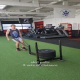 Full body for you today \ud83d\udd25#fitness #gym #motivation #workout #model #sport #health #fit #bodybuilding #training #lifestyle #strong #bodypositivity #exercise #fitnessmotivation #personaltrainer
