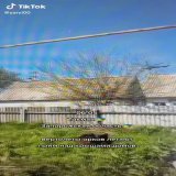 Токмак