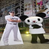 腕を組むには長さが足りなくて結果的に「ペッパーミルポーズ」になっている奇跡のショットブイ！  #WBC2023 準々決勝 日本vsイタリア このあとよる6時30分～放送ブイ！  #WBC #ワールドベースボールクラシック #侍ジャパン #野球 #baseball