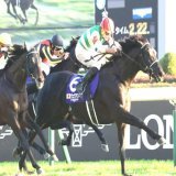 JC制覇 #ヴェラアズール は有馬記念参戦へ　キャロットＦ秋田社長が前向き「脚元に問題なければ」 #有馬記念 #keiba
