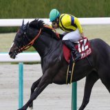 フィリーズレビューの勝者は、 吉田隼人騎手騎乗のシングザットソング！ 今年もドゥラメンテ産駒がクラシックを席巻するのでしょうか 関係者の皆様おめでとうございます #シングザットソング #吉田隼人 #フィリーズレビュー
