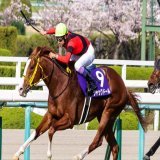 輝く黄金の勝者 #ジャックドール #武豊 #大阪杯