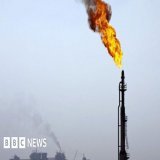 &rdquo;Global Witness found more than 600 people at the talks in Egypt are linked to fossil fuels. That's more than the combined delegations from the 10 most climate-impacted countries.&rdquo;  "If you want to address malaria, you don't invite the mo
