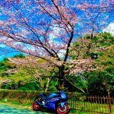そういえば乗り換えたので！  名前:（21） 生息:神奈川 身長:160 愛車:YZFR3 好き:サッカー 彼女 本 綺麗な景色 一言:走りに行きたい。誘って下さい！         誰かかっこいい写真撮ってください #バイク乗りとして軽く自己紹介 #バイク乗りと繋がりたい  #バイク好きな人と繋がりたい