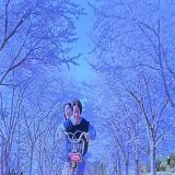 #海街ダイアリー  「空は、こんなに青いのに‥」    （『海街diary』の風太）