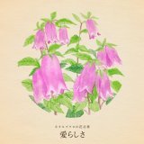 きょう11月26日は ペンの日 いい付録の日 いい風呂の日 いいチームの日 いいプルーンの日  誕生花はホタルブクロ 花言葉は「愛らしさ」