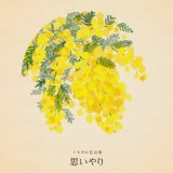 きょう3月8日は《ミモザの日》  この日は国際女性デーでもありますが、イタリアでは男性が日頃の感謝の気持ちを込めて、妻や恋人、身近の女性にミモザの花を贈る習慣があるそうです。 #ミモザの日   春の訪れを告げる花 ミモザの花言葉は「思いやり」