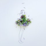 きょう9月9日は 重陽の節句 菊の節句 救急の日 世界占いの日 栗きんとんの日 手巻寿司の日 ロールケーキの日 食べものを大切にする日 温泉の日 男色の日 オオサンショウウオの日 ポップコーンの日 トルストイの誕生日  誕生花は紫苑(シオン) 花言葉「君を忘れない」