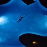 In my element \ud83d\udc99