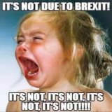 Scotland, hate Brexit...  #ToryBritain #ToryCorruption #ToryLiars #Brexit #BrexitBritain