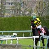 2023.3.12 阪神競馬場11R　報知杯フィリーズレビュー  シングザットソング号 吉田隼人騎手  「頑張ったね。お疲れ様。ありがとう」