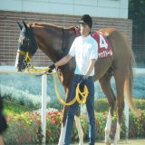 2022年札幌記念の1～3着馬 その後の成績  1着　ジャックドール号&rarr;2023年大阪杯優勝  2着　パンサラッサ号&rarr;2023年サウジカップ優勝  3着　ウインマリリン号&rarr;2022年香港ヴァーズ優勝