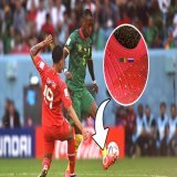 FIFA решила не наказывать полузащитника сборной Камеруна Гаэля Ондуа за бутсы с флагом России. &laquo;Могу вам сказать, что дисциплинарная комиссия знает об этом, но это не является проблемой, потому что Ондуа вырос в России. Он из Камеруна и России.