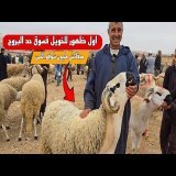 اليوم من سوق حد البروج بني مسكين اقليم سطات مع ثمن الأغنام بتاريخ 03/08/2025