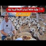 عمرك شفتي 170 حولية كلها تنية و اغلبها قرب يولد و ما تبقا ضارة، هاذ شي كاين غي عند الفريخ بن علال