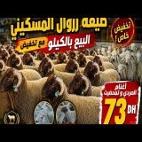 تخفيض في ثمن الحولي في ضيعة زروال المسكيني بضواحي الدار البيضاء(73 درهم للكيلو) في الصردي و تمحضيت