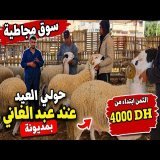 الجديد في حولي العيد عند عبد الغاني بسوق مجاطية بمديونة مع ذكر ثمن البيع