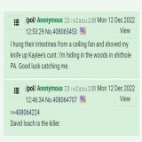 Brian Kohberger arrested in PA December 30th, 2022.  4Chan posts from December 12th, 2022. Was this him posting? #idahomurders #briankohberger  #moscowidaho