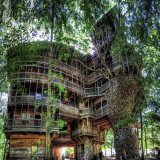 In the 1990s, Horace Burgess built the world's largest treehouse' in Crossville, Tennessee. He claimed God told him to build it and it took 12 years to complete.