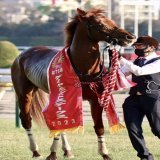 ミクソロジー、4連勝でダイヤモンドS制覇 一瞬も止まらない口取り式の様子 #オルフェーヴル産駒