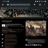 イタリアのブルデスOphiocordycepsの補足だけを書く ちなみに新譜の曲名はまあまあ長め ちなみに前作では愛が飛び出てるコメントがある ちなみにバンド名は虫に寄生して成長する植物のことなので画像検索しない方がいい&hellip;