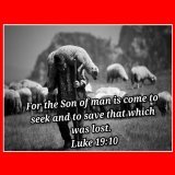 Earthquakes. Wars. Satanism. Rebellion. Racism/hate. Signs in the sky. While all is crumbling around us: the Lord Jesus is calling His sheep, one by one, and bringing them into the flock. His Spirit is active. We have a role to play in these End Time