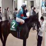 ダイヤモンドS シルブロンは3着でした  重賞初挑戦でよく頑張りました もちろん勝ってほしかったけど、 まだまだ成長できる馬 これからがさらに楽しみです  ルメール騎手、稲垣先生、スタッフの皆さん、お疲れさまでした