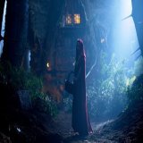 Red Riding Hood, directed by Catherine Hardwicke from a screenplay by David Leslie Johnson-McGoldrick and starring Amanda Seyfried, Gary Oldman, Billy Burke, Shiloh Fernandez, Max Irons, Virginia Madsen, Lukas Haas and Julie Christie, was released on