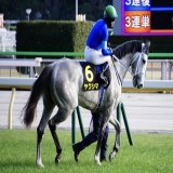 東京10R クロッカスS(L)  6  #ヤクシマ   #ルメール 騎手は三連勝 本日5勝   #東京競馬場