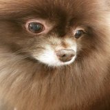 220115 - King Kuma spotted at Daycare today  JENNIE BDAY PARTY IN HK