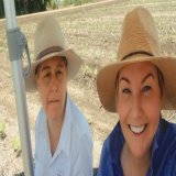 Beach umbrella  cotton paddock mobile phone  Videoconferencing into inner Sydney  for cotton classroom from the paddock this #AgDayAU to talk about the living world &amp; sustainable farming systems.  The kids quickly googled assassin bugs after our 